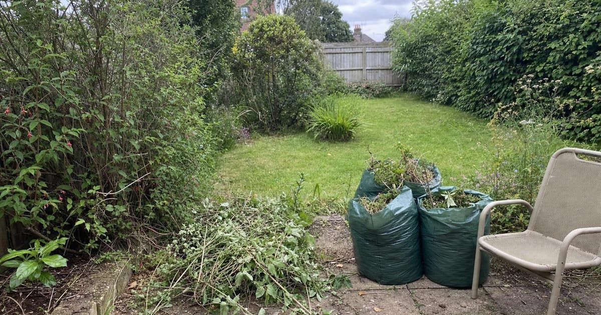 An overgrown garden in Andover with branches, hedge cuttings and old garden furniture ready for clearance